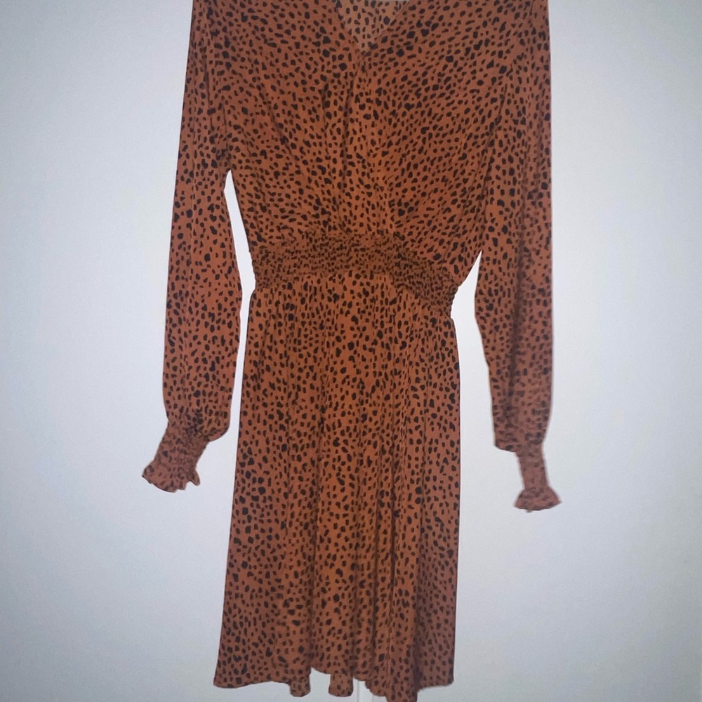Leopard Print Long Sleeve Dress